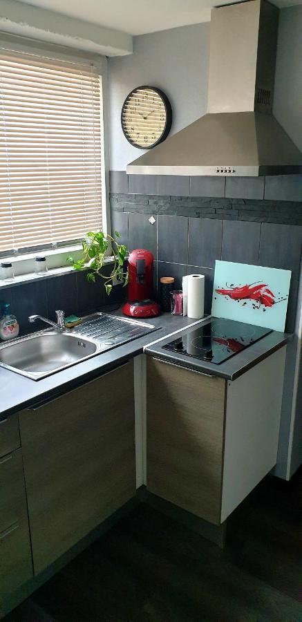 Apartmán Plaisir Extreme Roanne Exteriér fotografie